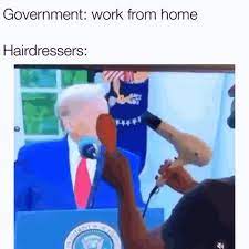 Working from home memes & gifs. Memebase Gifs All Your Memes In Our Base Funny Memes Cheezburger