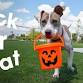 Trick-or-Treat at Atlanta Humane Society event image