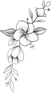 Pin By 22 On Otletek Rajzolashoz In 2020 Flower Art Drawing Art Drawings Sketches Simple Pencil Drawings Of Flowers