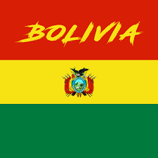 Dflive bolivia flag 3x5 ft thicker polyester the bolivian national banner with brass grommets. Bolivia Flag Bolivia Flag Bolivia Landlocked Country
