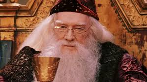 He is described in the books as one of the greatest wizards of all time, and the fandom is divided on the issue of whether he is actually benevolent or, rather, manipulative in his effort to help harry fight lord voldemort. Albus Dumbledore Ist J K Rowlings Lieblingscharakter Aus Harry Potter