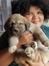 Innovation Enterprises, LLC