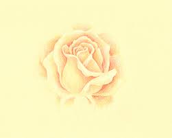 How to make your first pencil drawings of roses easy in simple steps. How To Draw A Rose