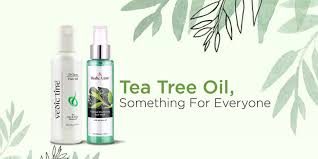 Dandruff can also play a factor in clogged hair follicles, so the oil will help to clean out hair roots and prevent any itching or inflammation that will cause your hair to fall out prematurely. Tea Tree Oil For Beauty Benefits Vedicline Skincare Haircare