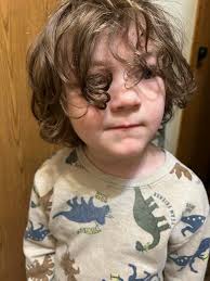 Am Samschdich fahred mir iber d Alb ons Oberland an dr See! Ôbeds guggâd  mir dr Freischidz vom Webers Carlê ô. SAMIEL, SAMIEL...