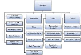 Manage Supplier Information Chapter 2 R19b