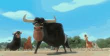 Share the best gifs now >>>. Ox Gifs Tenor