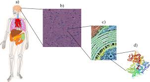 Image result for Science Math Applications Complex Systems Events