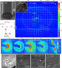 Now that you have a fair idea of your hair type, here's how to analyze hair thickness. Local Structure Of Human Hair Spatially Resolved By Sub Micron X Ray Beam Scientific Reports