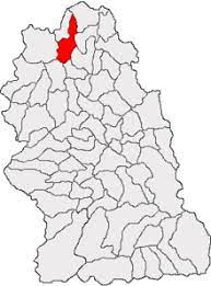 It is composed of nine villages: Baia De CriÈ™ Wikipedia