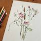 Nature Journaling with Val Webb event image