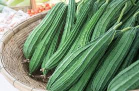 Image result for Luffa acutangula