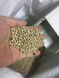 Dalam rangka untuk mendapatkan manfaat lebih, produsen tidak bermoral sering dicampur ke. Lada Putih Lada Hitam Sarawak Sarawak Black Pepper ÙÙŠØ³Ø¨ÙˆÙƒ