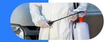 Maybe you would like to learn more about one of these? Pest Control Hamilton 03 8592 7032 Reliable Pest Control Services