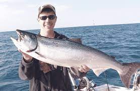 Mar 13, 2015 · anchorage daily news photo. Fall King Salmon The Return Of The King Salmon On The Great Lakes