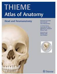 With the thieme atlas of anatomy, it was our intention to create an atlas that would guide students in their initial study of anatomy, stimulate their enthusiasm for this intriguing and vitally. Thieme Atlas Of Anatomy