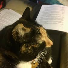 Editing Assistant For Book 3 Cozymystery Cozymysteries Britishmystery Britishmysteries Cozymysteryseries Ca In 2020 Dog Books Cozy Mystery Series Cozy Mysteries