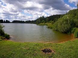 Система карстовых озер (шишовское, подборное, черепаха) около д. Noginsk Avdotino