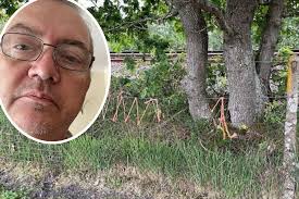 New Forest: Farmer claims 'unsafe' fence killed steer