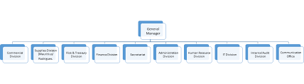 Stc State Trading Corporation Corporate Governance