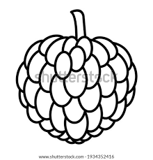 Unique pictures of custard apple. Shutterstock Puzzlepix