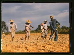 The Photography of Jack Délano