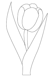 Tulpe Ausmalbilder Malvorlagen 100 Kostenlos