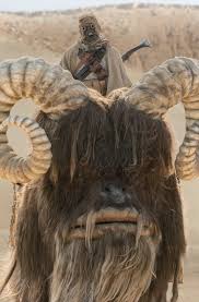 Watch the mandalorian season 2 episode 1 online free in hd quality eng.sub. Tusken Raider The Mandalorian Season 2 Episode 1 Tv Fanatic