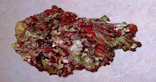 Check spelling or type a new query. Curing Rock For Marine Aquariums Reef Aquarium