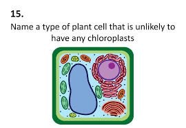 We did not find results for: Cell Biology Quiz 37 Questions Ppt Download