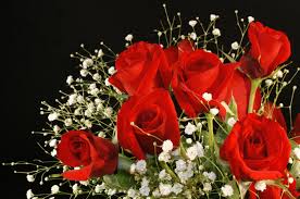 This post may include affiliate links which means i may earn a small commission if you shop using the if you're doing flowers like baby's breath you'll likely be using a ton of flowers, therefore you'll need a. Baby Breath Flower Meaning Flower Meaning