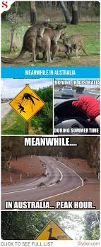 Meanwhile In Australia Funny Memes Of All Time Funny Lol Wtf Hilarious Funnypics Funnyphoto Fun Hum Australia Funny Meanwhile In Australia Funny Memes