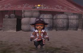 Unm look at the unm monsters to see locations you can teleport to. Final Fantasy Xi Tips Tricks For New Players The Ultimate List Fandomspot