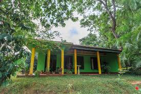 A Nice And Simple Place To Home Stay Habarana Srilanka Vacation Home Home Condo