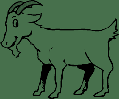 Diviértete utilizando los dibujos con imágenes de cabras y chivas para colorear y pintar apropiados para actividades infantiles. Dibujos Para Imprimir Y Colorear Pintar Imagenes Para Ninos Cabrita Para Imprimir Y Colorear