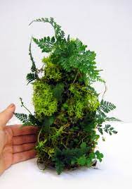 Living Fern Column Terrarium Plants Moss Garden Inside Garden