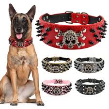 Lucky there were two in the pack. 2 Wide Spiked Studded Leather Dog Collar Bullet Rivets With Cool Skull Pet Accessories For Meduim Large Dogs Pitbull Boxer S Xl Dog Apparel Deals