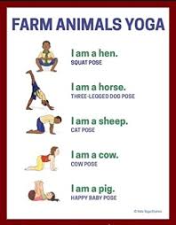 Great for meditators and yogis of all skill levels and styles, ideal for restorative yoga. Day 4 Farm Animal Yoga Connolly Ranch
