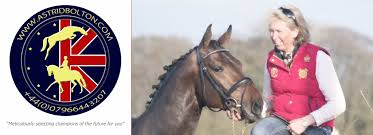 Fixes hoof, laminitis, skin, immune system. Sport Horses Stableexpress
