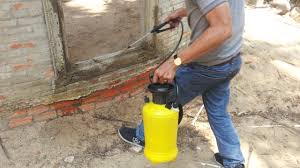 Image result for diá»t má»i