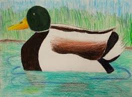Adventures Of An Art Teacher Jr Duck Stamp Program Duck Art Nature Art Art Lessons