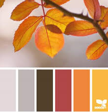 30 Thanksgiving Color Palettes Seeds Color Color Palette Design Design Seeds