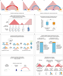 On The Existence And Functionality Of Topologically Associating Domains Nature Genetics
