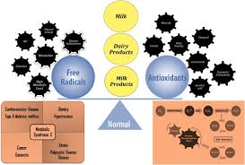 Our distributors of camel milk in lahore will contact you after ordering the product and on address confirmation will deliver you the parcel at your home or office. Antioxidant Properties Of Milk And Dairy Products A Comprehensive Review Of The Current Knowledge Abstract Europe Pmc
