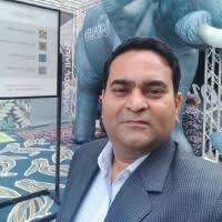 Kaleen Rugs Email Format