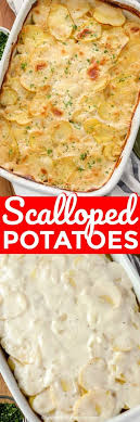 Click to see the recipe! Scalloped Potatoes Recipe Spend With Pennies