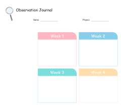 Observation Chart Graphic Organizers Solutions