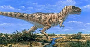 What are t rex dinosaurs? Cuantos Tiranosaurios Vivieron En La Tierra Tenemos Una Pista The New York Times