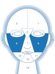 Dermalogica Face Mapping Zones 5 And 9 Lungs Face Mapping Face Mapping Acne Dermalogica Skin Care