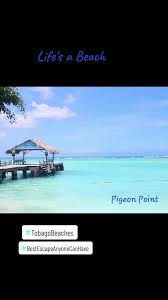 Sunita Thomas (@sunitavt)